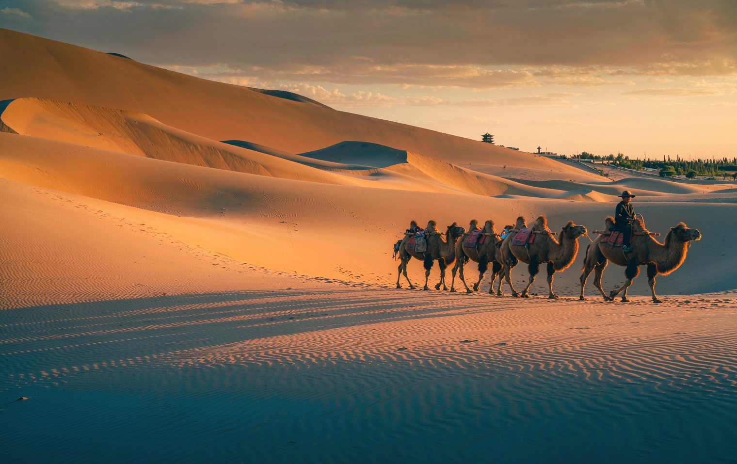 Dunhuang: Desert Caves and Dunes