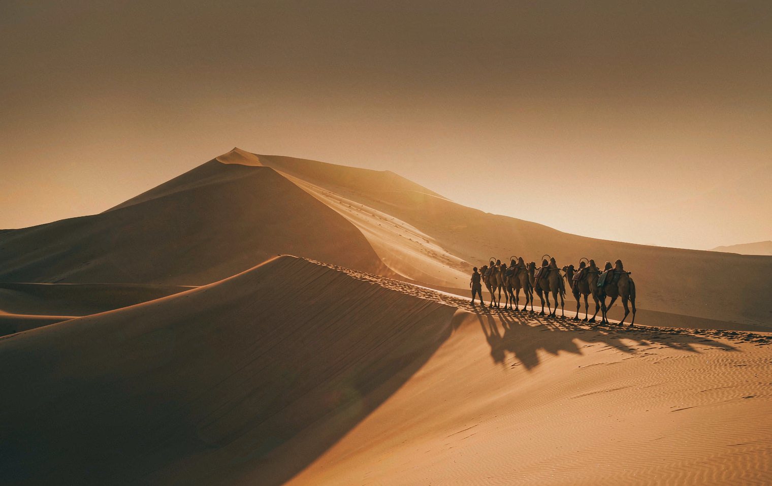 Dunhuang Silk Road Tour Start with the Mogao Booking